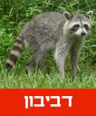 /sysvault/docsfiles2/cd0c3bb5c6-1539-4777-bdbb-48a7cf3e9d5e.jpg