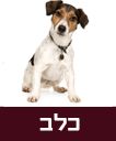 /sysvault/docsfiles2/cd237aaed4-17ca-4308-a665-65f019d54e49.jpg