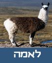 /sysvault/docsfiles2/cd2bc65b80-eaed-4c98-a277-8e5f12ea8acd.jpg