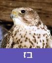 /sysvault/docsfiles2/cd34b9fa01-0b7f-412c-9e6a-94eaeeffa997.jpg