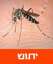 /sysvault/docsfiles2/cd4c529e6a-7ab7-42d1-bbee-7a5446e4247c.jpg