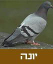 /sysvault/docsfiles2/cd62e4e2d1-382b-485f-9504-f1e372991b9e.jpg