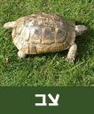 /sysvault/docsfiles2/cd759ed89b-758e-4dd7-aa3c-361870d22d3c.jpg