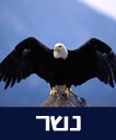 /sysvault/docsfiles2/cd789dfb5f-e4cf-4dd5-8a2f-ff2fb57ba2c6.jpg