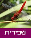 /sysvault/docsfiles2/cd9a5d43c1-174c-4564-adba-0b0e4181fd5c.jpg
