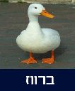 /sysvault/docsfiles2/cd9b800734-465c-48a7-8815-4cb8777a5cb5.jpg