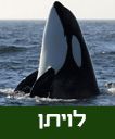 /sysvault/docsfiles2/cdd27ec2c9-f11b-4de9-bc34-a7397c9875fe.jpg