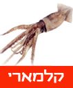 /sysvault/docsfiles2/cdfbee702b-7be3-4f80-ad14-9260a13ccb4e.jpg