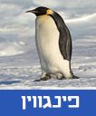/sysvault/docsfiles2/cdfcceb8f2-4eea-4943-ac38-48b536b75bba.jpg